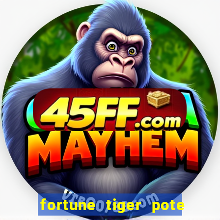 fortune tiger pote de ouro